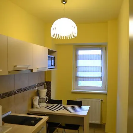 公寓 Napoca Apartament 21 Decembrie *