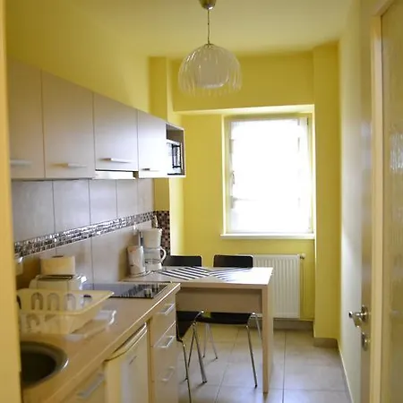 Napoca Apartament 21 Decembrie 克卢日-纳波卡