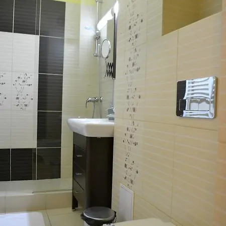公寓 Napoca Apartament 21 Decembrie 克卢日-纳波卡