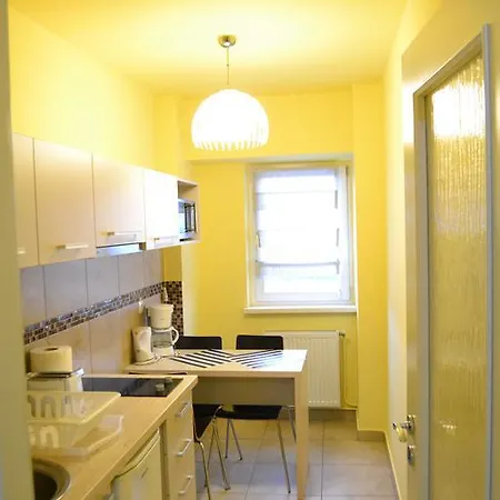 公寓 Napoca Apartament 21 Decembrie