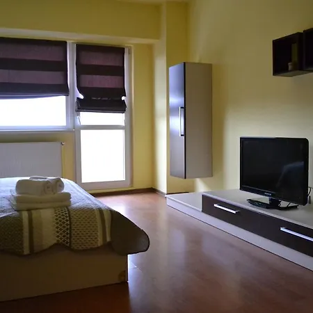 公寓 Napoca Apartament 21 Decembrie *