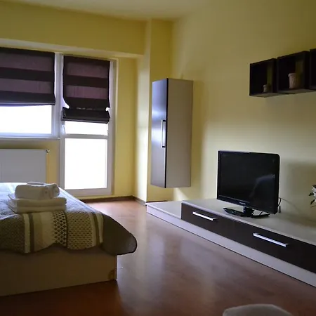 Napoca Apartament 21 Decembrie * 克卢日-纳波卡