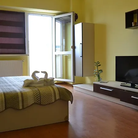 Napoca Apartament 21 Decembrie 克卢日-纳波卡